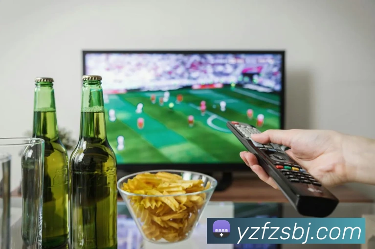 数据分析功能